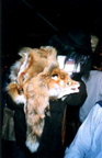 26_fuchs.jpg